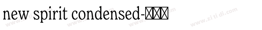 new spirit condensed字体转换 new spirit condensed字体转换